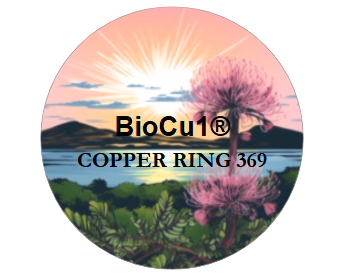 COPPER RING 369